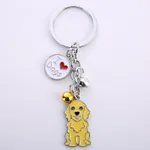 Golden Retriever Idog