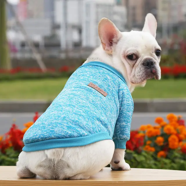 Fall Winter New Style Sweater Two legged Clothes Dog Supplies Blue - Shop at LoveMi