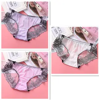 Low-rise Embroidered Lace Panties And Mesh Briefs - Set1