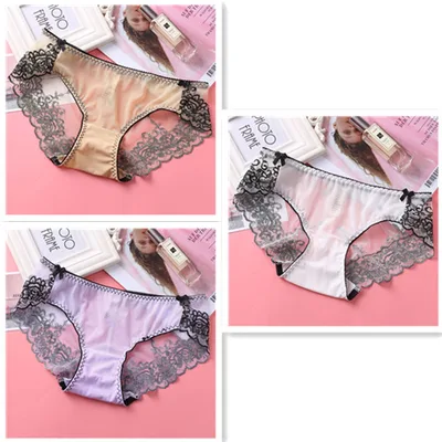Low rise Embroidered Lace Panties And Mesh Briefs Set2 - Shop at LoveMi