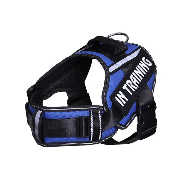Reflective Dog Leash For Chest Harness Customization Blue - Shop at LoveMi