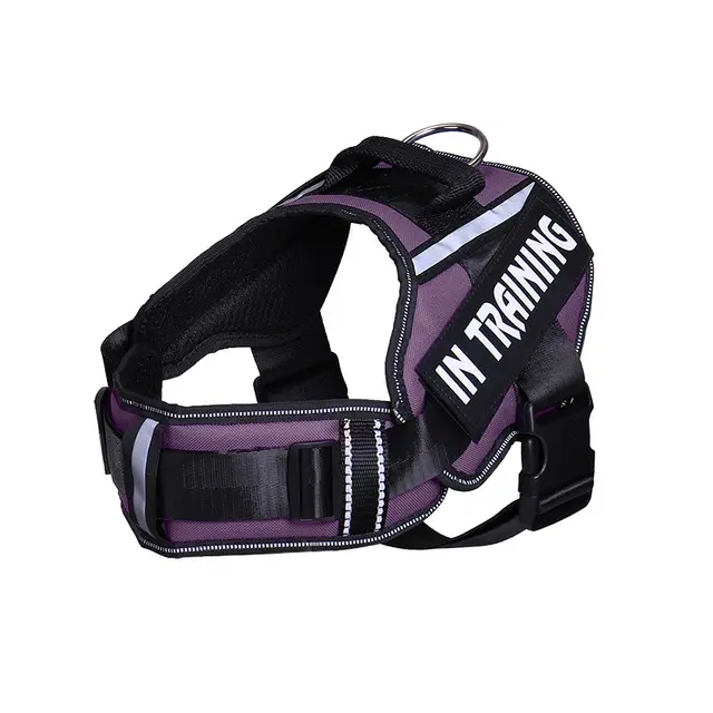 Reflective Dog Leash For Chest Harness Customization Purple - Shop at LoveMi