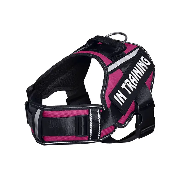 Reflective Dog Leash For Chest Harness Customization Rose Red - Shop at LoveMi