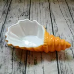 Orange Conch
