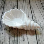 White Conch Plate