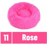 Rose Red