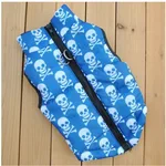 Blue Skull Head
