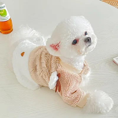 Elk Christmas Dog Clothes Cute And Warm Coffee - Shop at LoveMi