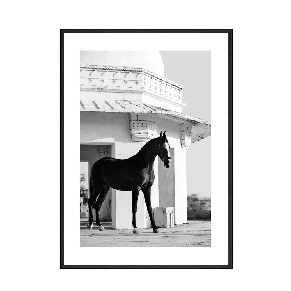 Black And White Animal Horse Canvas Painting Modern Wall Art Decor Poster A Style - Shop at LoveMi