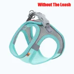 Blue Without Leash