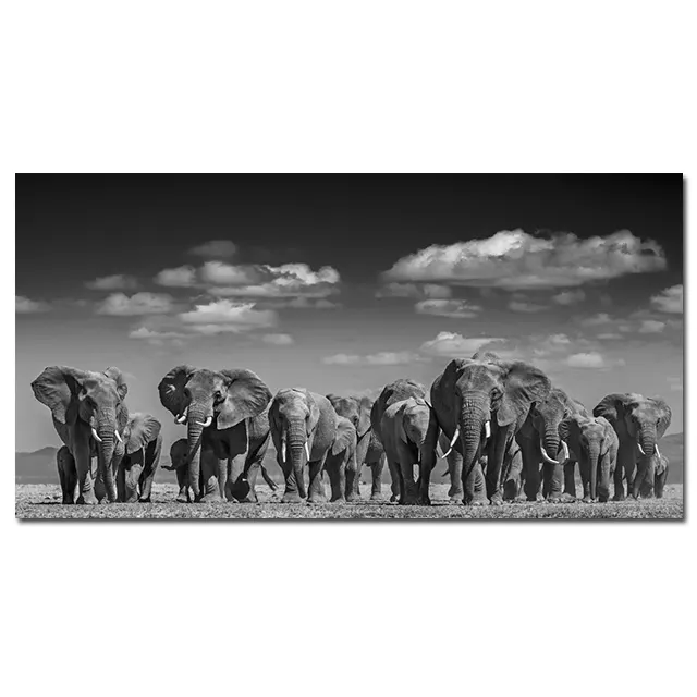 Modern Elephant Canvas Animal Poster And Print Black And White Wall Picture - Shop at LoveMi
