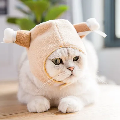 Tang Suit Cat Dress Up Accessories Dog Apricot - Shop at LoveMi