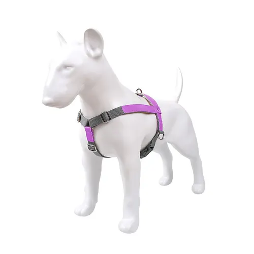 Leather Pet Dog Chest Harness Vest Nylon Leash Set Red - Shop at LoveMi