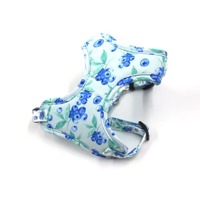 Cute Blueberry Print Pet Out Chest And Back Leash Set Vest - Shop at LoveMi