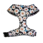 Daisycolored Chest
