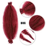 Bug