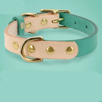 Leather cat collar Green Single Collar - Shop at LoveMi