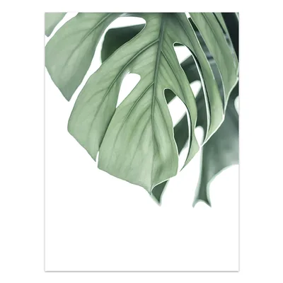 Nordic Style Tropical Plants Poster Green Leaves Canvas Print 8Style - Shop at LoveMi