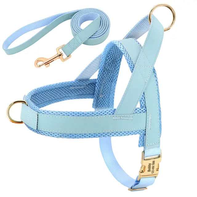 Personalized Dog Harness Leash Set Blue - Shop at LoveMi