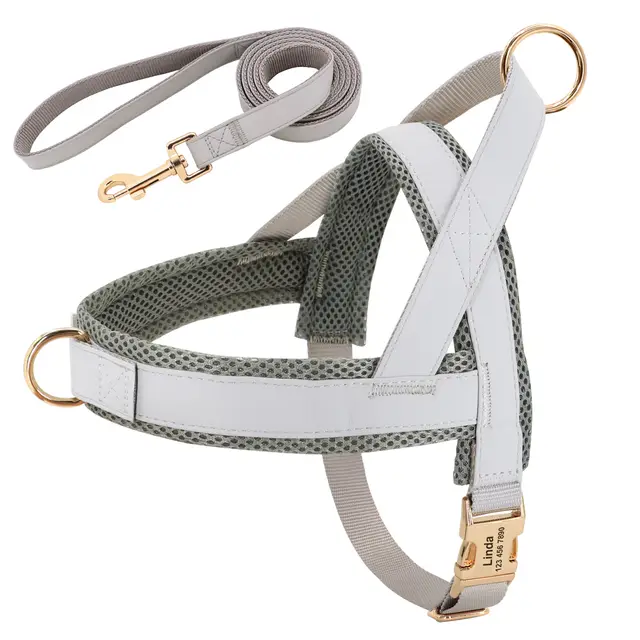 Personalized Dog Harness Leash Set Grey - Shop at LoveMi
