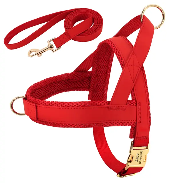 Personalized Dog Harness Leash Set Red - Shop at LoveMi