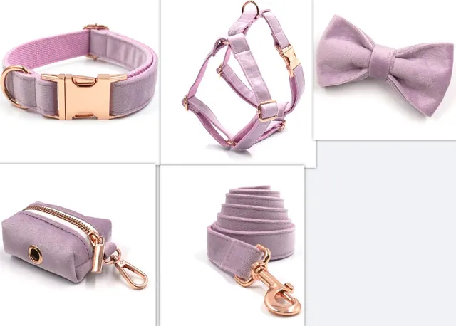 Dark Grey Velvet Pet Collar Leash Pinkset - Shop at LoveMi