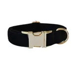 Dog Collar