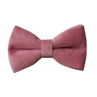 Double Layer Microfiber Rose Gold Buckle Pet Supplies Foreign Trade Pet Supplies Collar Bow Tie - Shop at LoveMi