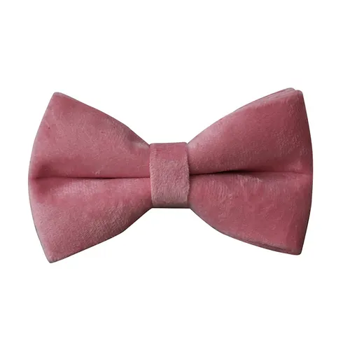 Double Layer Microfiber Rose Gold Buckle Pet Supplies Foreign Trade Pet Supplies Collar Bow Tie - Shop at LoveMi