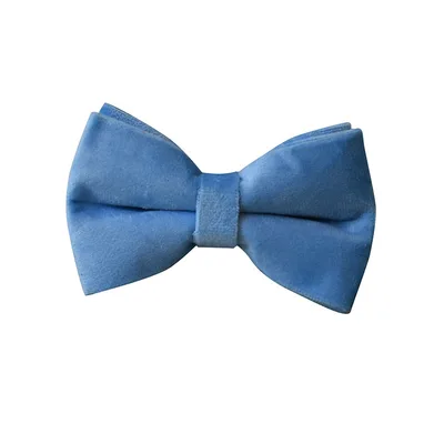 Blue Velvet Dog Collar Dog Rope Pet Collar Bow Tie - Shop at LoveMi