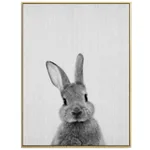 Bunny Face