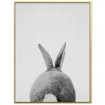 Bunny Tail