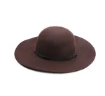 Vintage Wool Belt Big Brim Hat - Brown