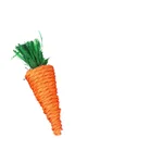 Medium Carrot 10Cm
