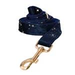 Dog Leash