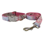 Leashes And Collars