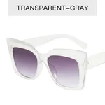 Transparent Frame Double Grey