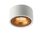 White Light 6000K