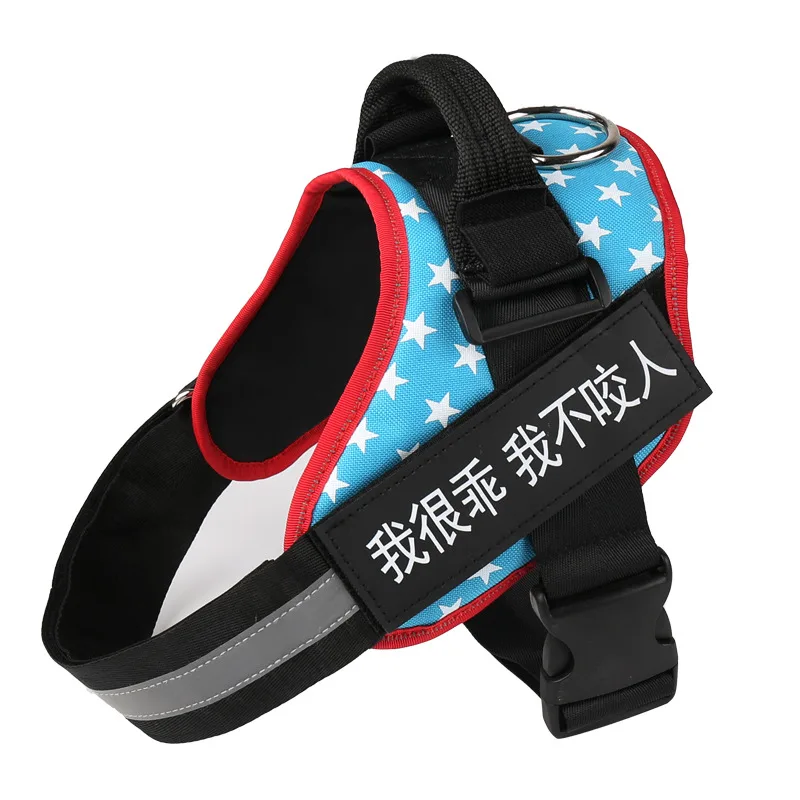 Leashing Chain Rope Dog Chain Pet Supplies Blue Stars - Shop at LoveMi