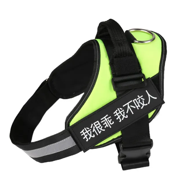 Leashing Chain Rope Dog Chain Pet Supplies Green - Shop at LoveMi
