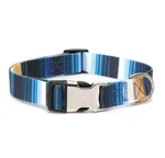 Blue Stripes