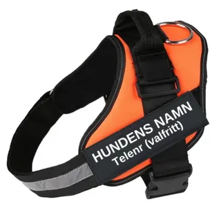 Pet Chest Strap With Dog Leash - Orange - View 1