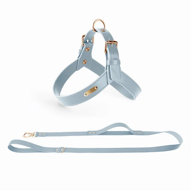Summer Pet Dog And Cat Vest Type Chest Harness Leash Grey Blue Set - Shop at LoveMi