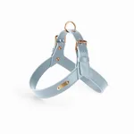 Grey Blue
