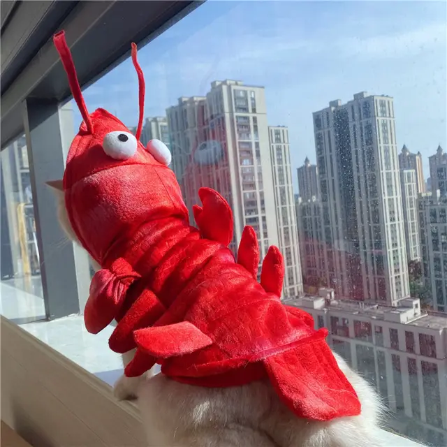 Halloween Cat Lobster Clothes New Year Christmas Red - Shop at LoveMi
