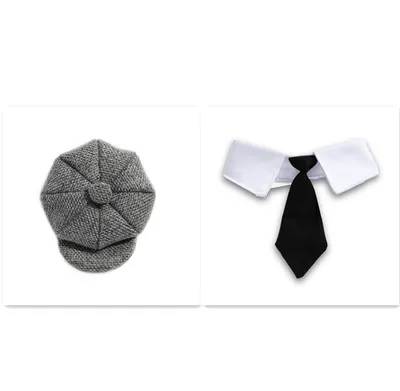 Pet Cat Gentleman Beret Tie Photo Props Set - Shop at LoveMi