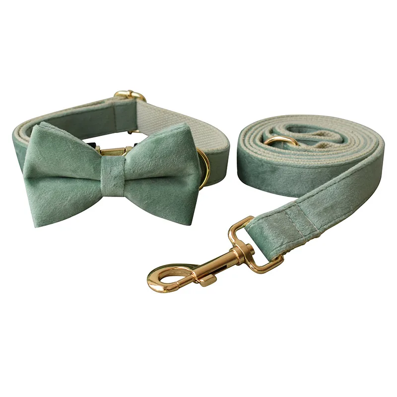 Mint Green Dog Collar Leash - Bow Set
