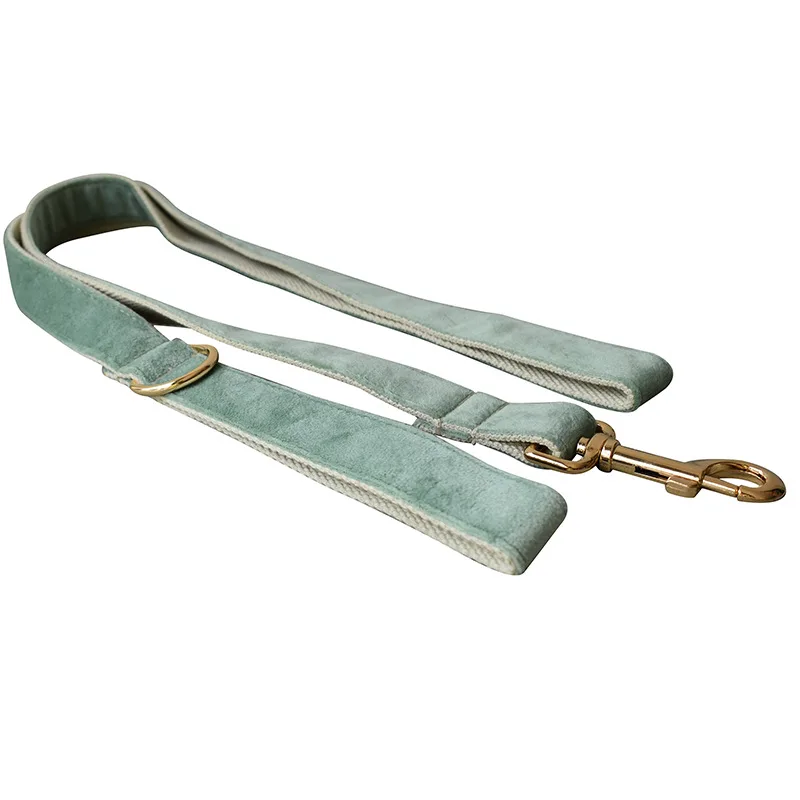 Mint Green Dog Collar Leash - Leash