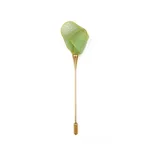 Bamboo Green