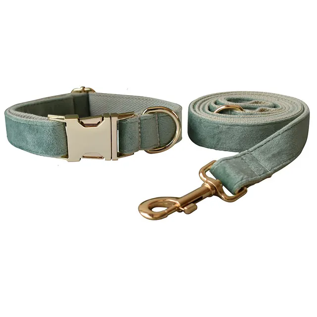 Mint Green Dog Collar Leash Collar Leash - Shop at LoveMi